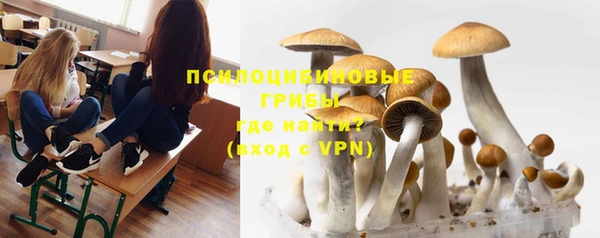 apvp Баксан